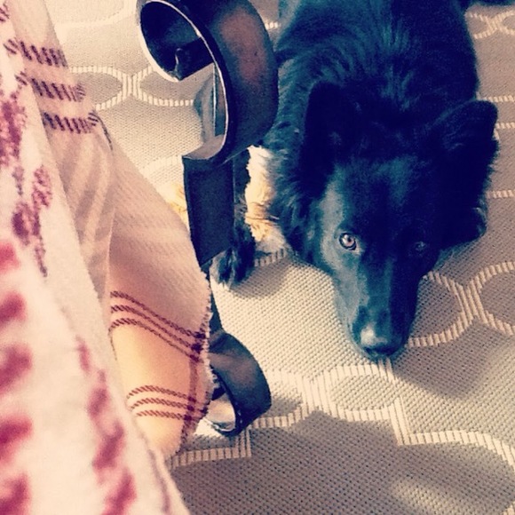 Meet your Posher, Bethany - Picture 1 of 1